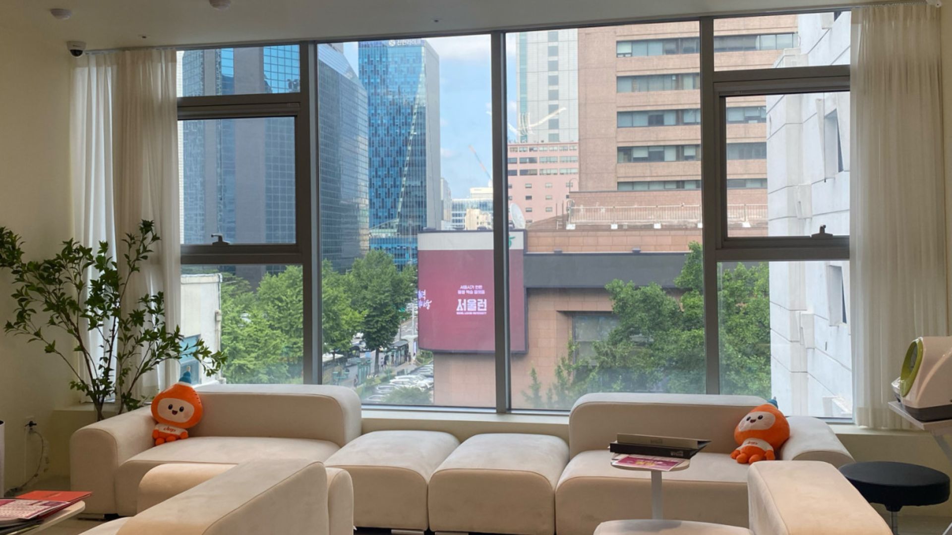 Bloomy Dermatology & Plastic Surgery photo 3