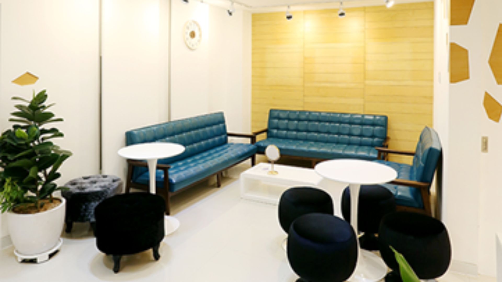 Laleine Gangnam Dermatology Clinic photo 2
