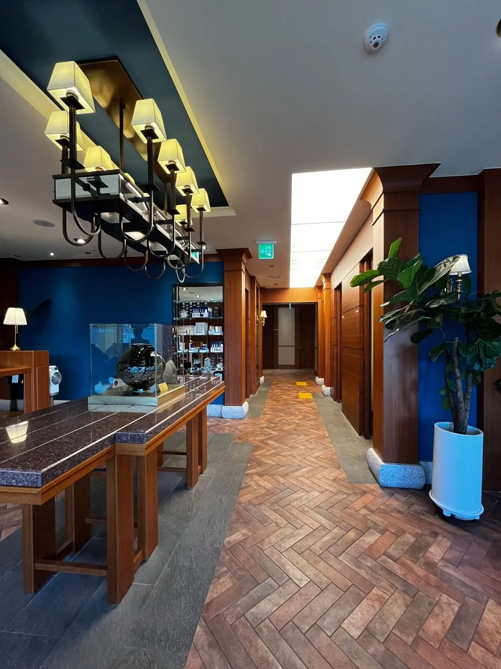 Regen Plastic Surgery Clinic photo 1